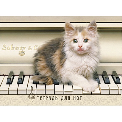 Котёнок и пианино ТЕТРАДИ ДЛЯ НОТ (*скрепка). 16 листов - фото 1
