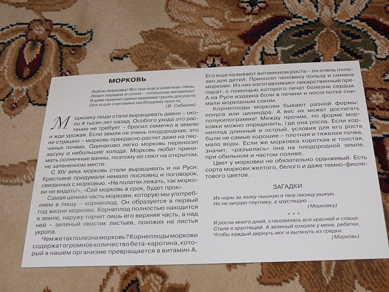 Расскажите детям об овощах. Карточки для занятий в детском саду и дома. - фото 5