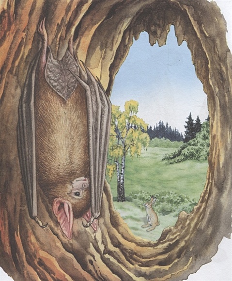 Белка и волк. Крупные буквы. Короткие тексты • Толстой Лев Николаевич ...