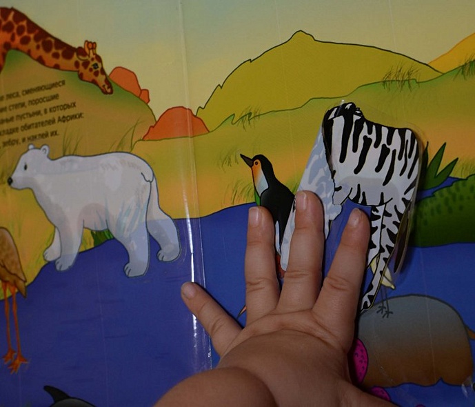 Где живет жираф - фото 15