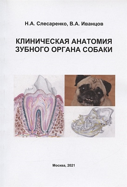Клиническая анатомия зубного органа собаки. Учебно-методическое пособие - фото 1