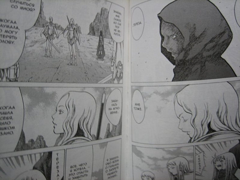 Клеймор. Книга 4. Смертный приговор - фото 9