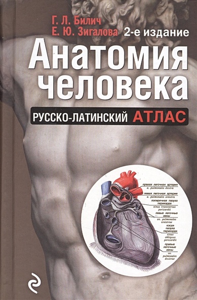 Анатомия человека: Русско-латинский атлас. 2-е издание - фото 1