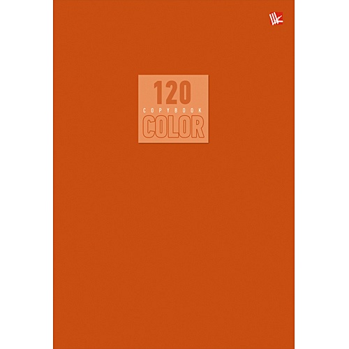 Тетрадь общая «Стиль и цвет. Оранжевый», А5, 120 листов - фото 1