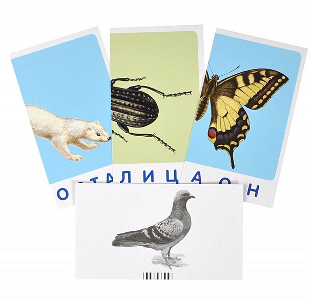 Зебра. Мир животных. Окружающий мир. Игра развивающая и обучающая. Для детей от 5 лет - фото 2