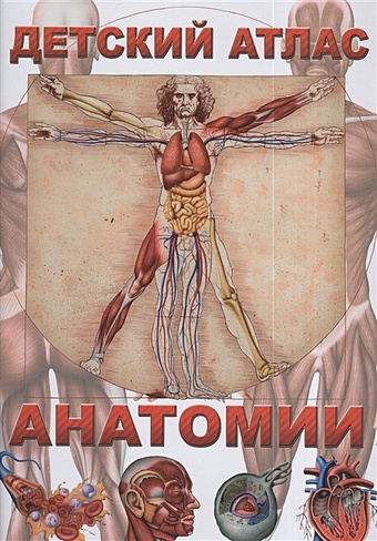Детский атлас анатомии - фото 1