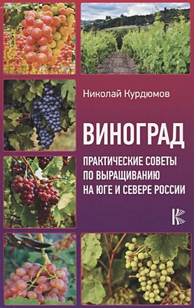 Виноград. Практические советы по выращиванию на юге и севере России - фото 1