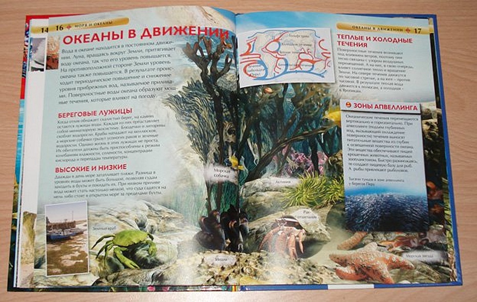 Моря и океаны - фото 10