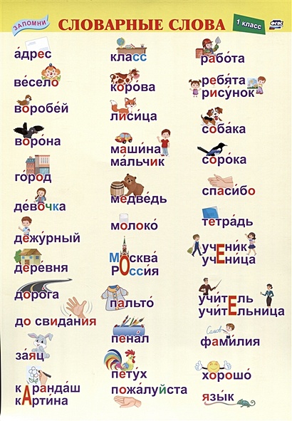 Учебный плакат. Словарные слова. 1 класс. (Формат А4, бумага мелов 250) - фото 1