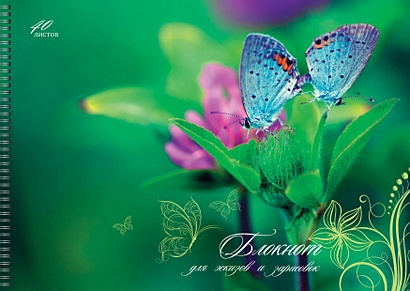 Синие бабочки АЛЬБОМЫ ДЛЯ РИСОВАНИЯ (гребень). 40 листов - фото 1