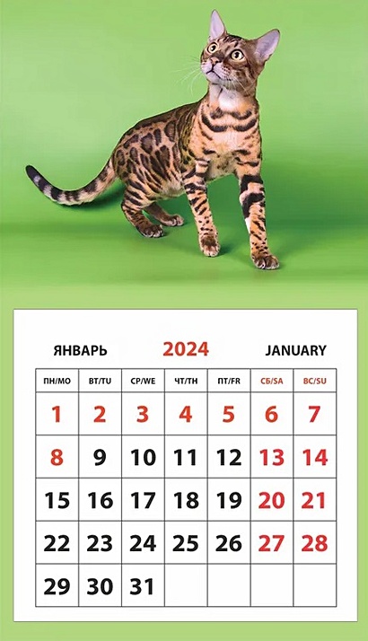 Календарь 2024г 95*165 "Кот" на магните - фото 1