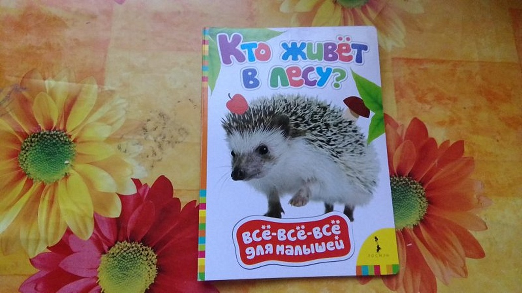 Кто живет в лесу? - фото 7