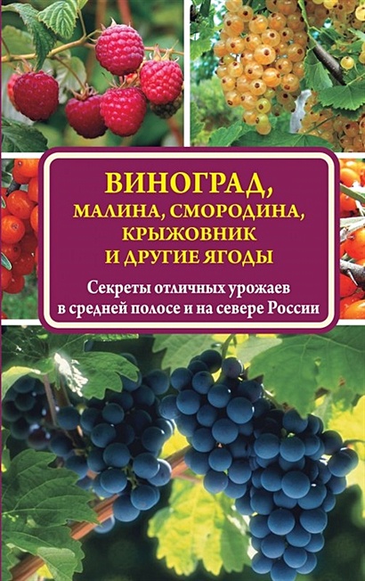 Виноград, малина, смородина, крыжовник и другие ягоды - фото 1