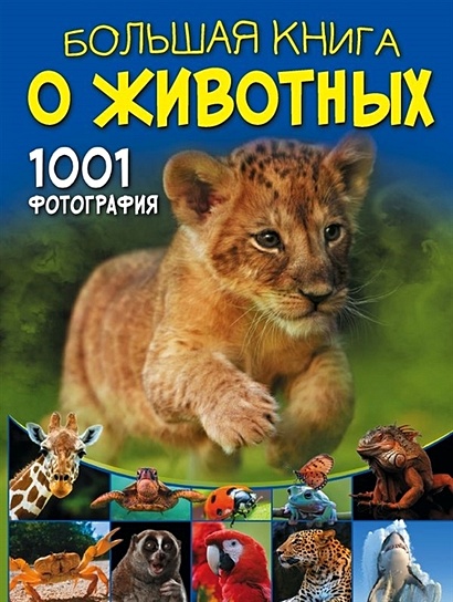 Большая книга о животных. 1001 фотография - фото 1