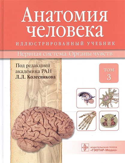 Анатомия человека. В 3-х томах. Том 3. Нервная система. Органы чувств. Крыжановский В., Никитюк Д.