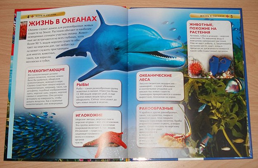 Моря и океаны - фото 4