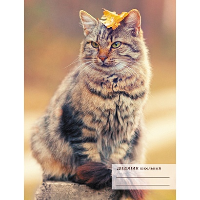 Осенний кот ДНЕВНИКИ (*ПЕРЕПЛЕТ 7БЦ) для средних и старших классов - фото 1