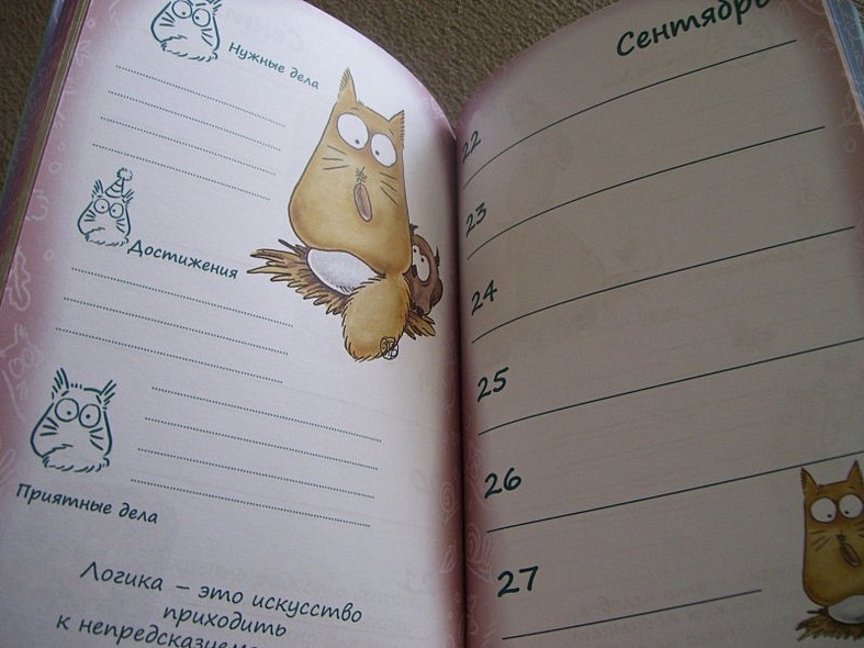 Ежедневник-антидепрессант. Кот Pookie в мире мудрых мыслей - фото 9