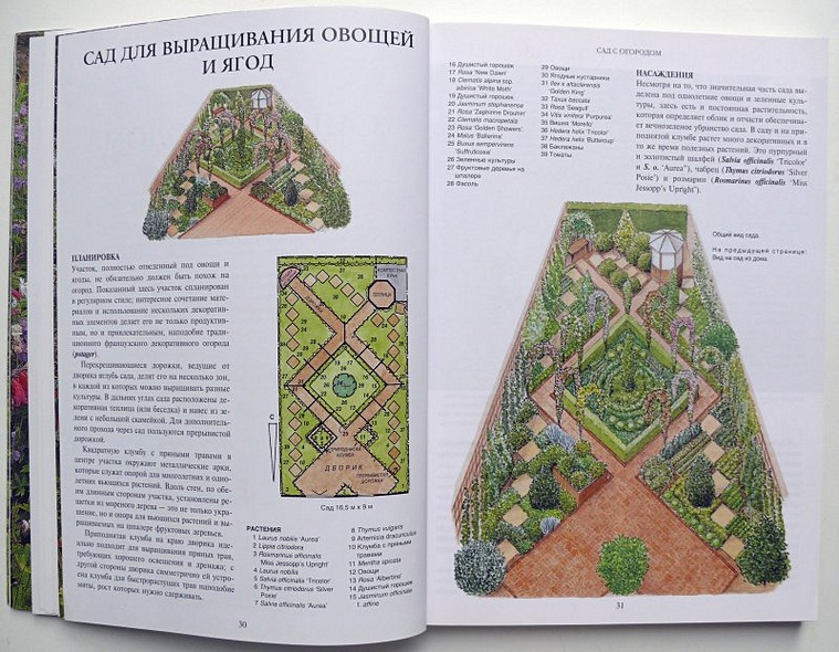 Все о планировке сада - фото 8