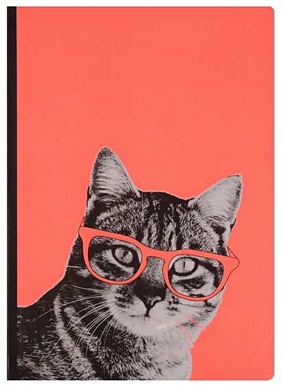 Блокнот "Кот в очках" - фото 1