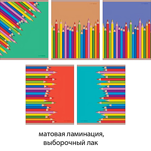 Цветные карандаши (графика) 48л., 5 видов ТЕТРАДИ А5 (*скрепка) 48Л. Обложка: high-class - фото 1