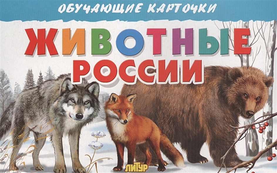 Обучающие карточки. Животные России - фото 1
