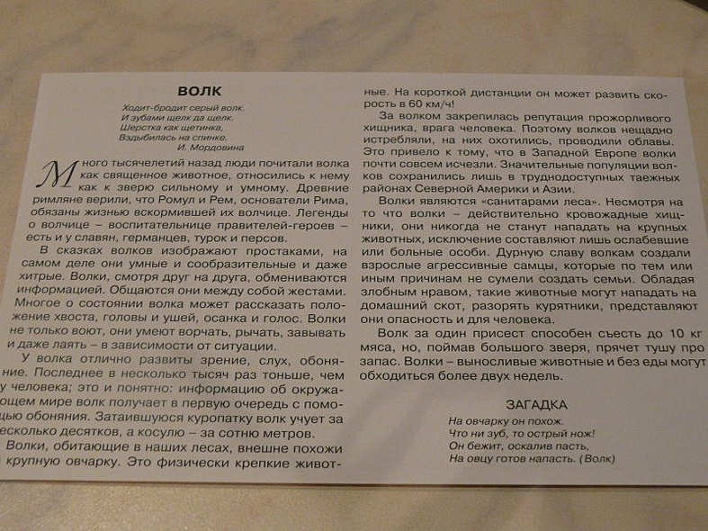Расскажите детям о лесных животных - фото 11
