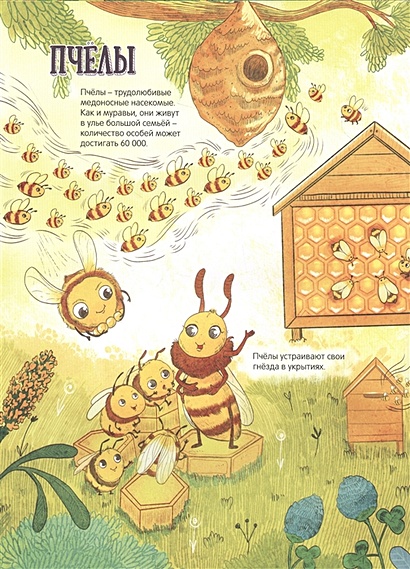 Лучшая энциклопедия в картинках для малышей насекомые