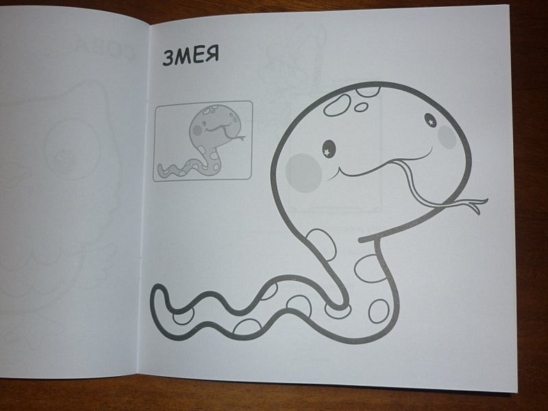 В лесу - фото 15