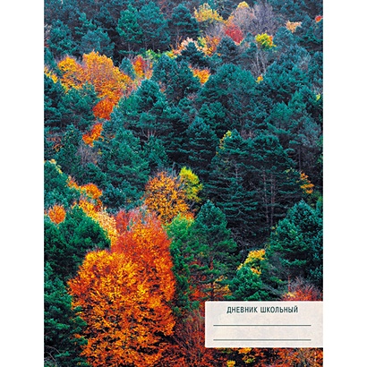 Панорама леса ДНЕВНИКИ (*ПЕРЕПЛЕТ 7БЦ) для средних и старших классов - фото 1