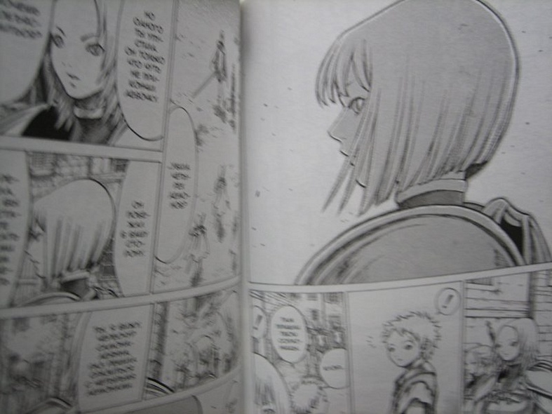 Клеймор. Книга 5. Воительницы - фото 14