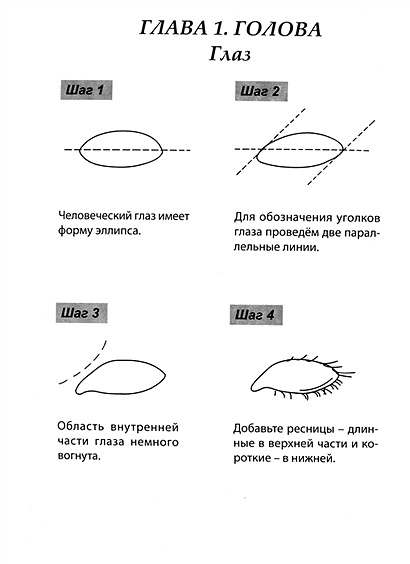 Скетчбук А5 Уроки рисования по шагам. Анатомия человека • , купить по ...