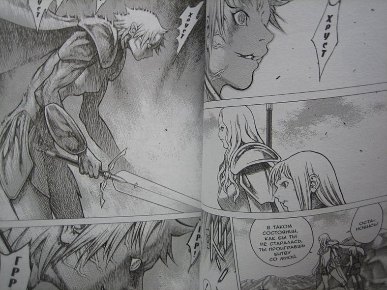 Клеймор. Книга 5. Воительницы - фото 12
