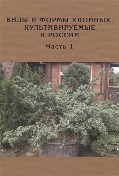 Виды и формы хвойных, культивируемые в России. Часть 1. Можжевельник - фото 1