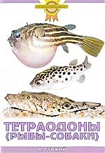 Тетраодоны (рыбы-собаки) - фото 1