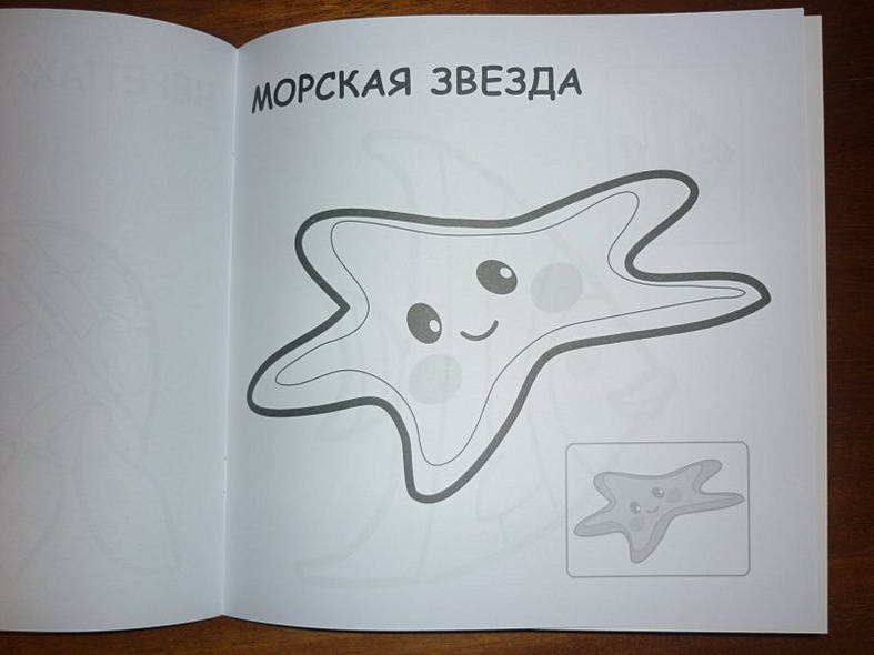 В океане - фото 14