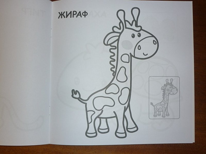 В Африке - фото 13