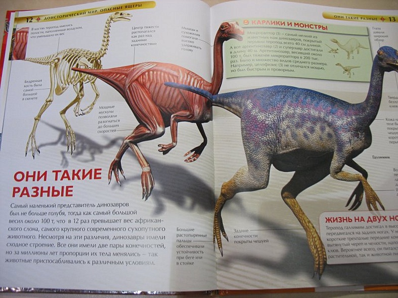 Доисторический мир. Опасные ящеры - фото 5