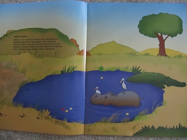 Где живет жираф - фото 10