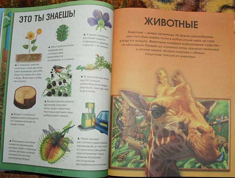 Энциклопедия необходимых знаний - фото 11