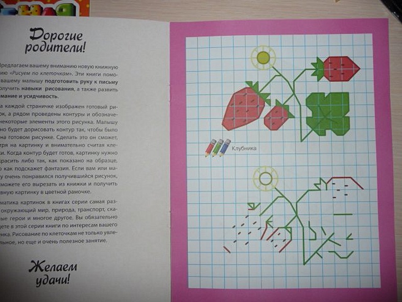 Рисуем по клеточкам. Что растет на огороде - фото 2