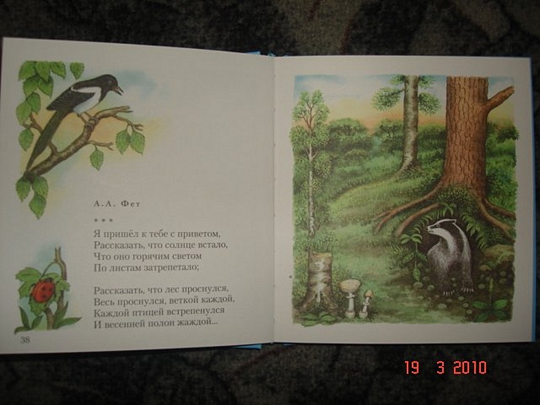 Дивная пора. Лучшие стихотворения русских поэтов о природе - фото 5