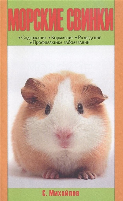 Советы по содержанию морской свинки — лучший уход и кормление для вашего питомца с пушистыми ушками Советы по содержанию морской свинки: лучший уход и кормление