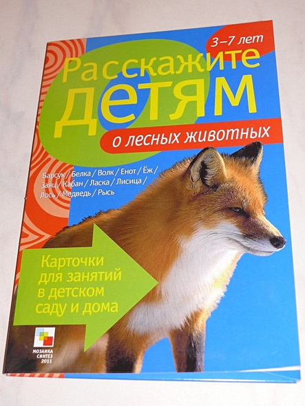 Расскажите детям о лесных животных - фото 2