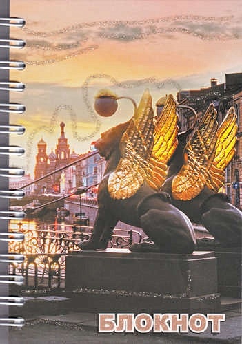 Записная книжка "Санкт-Петербург. Банковский мост, ночь", А6, 120 листов - фото 1