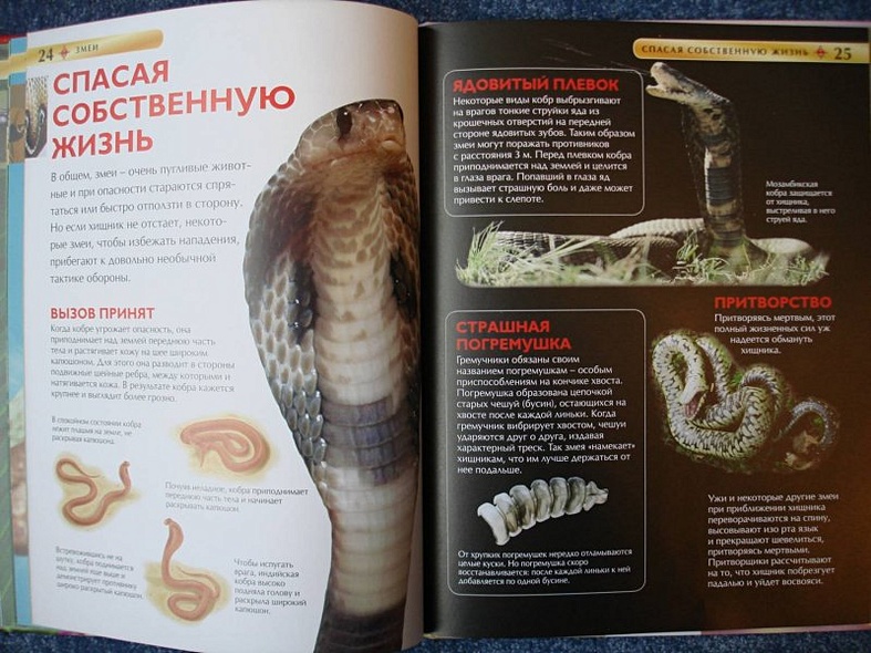 Змеи - фото 13