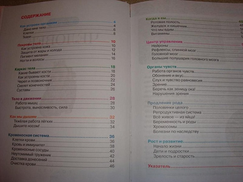 Человек - фото 2