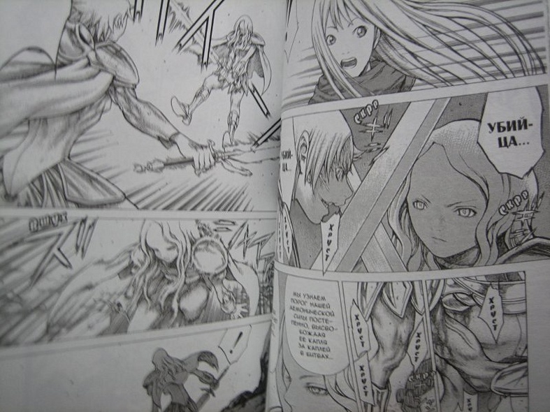 Клеймор. Книга 5. Воительницы - фото 13