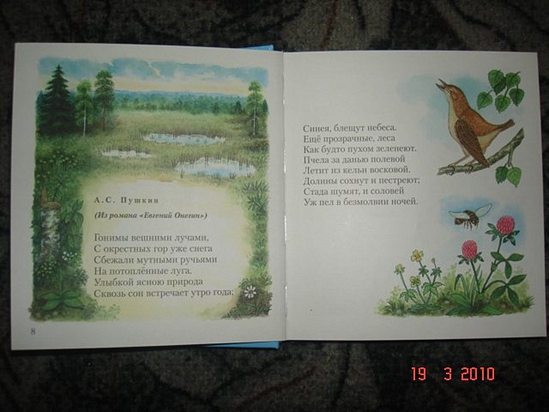 Дивная пора. Лучшие стихотворения русских поэтов о природе - фото 4