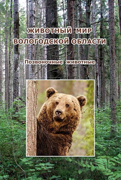 Животный мир Вологодской области. Позвоночные животные - фото 1